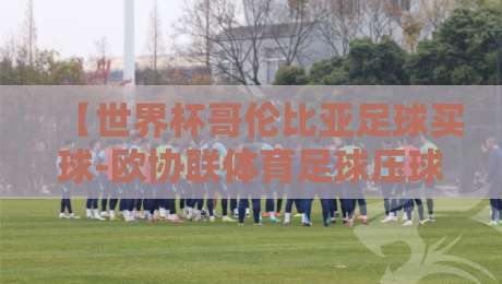 【世界杯哥伦比亚足球买球-欧协联体育足球压球网】，2026年最新实战指南与避坑建议