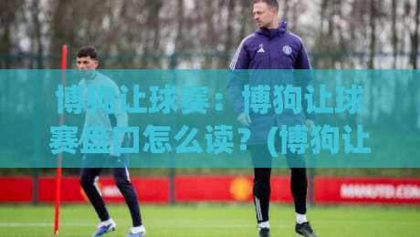 博狗让球赛：博狗让球赛盘口怎么读？(博狗让球赛)三个实战视角帮你理清让球逻辑-最大权威网页压球网冠军走盘单双盘独赢波胆盘大球