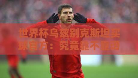 世界杯乌兹别克斯坦买球官方:究竟靠不靠谱?(世界杯乌兹别克斯坦买球官方) 世界杯乌兹别克斯坦买球官方:究竟靠不靠谱?(世界杯乌兹别克斯坦买球官方)
