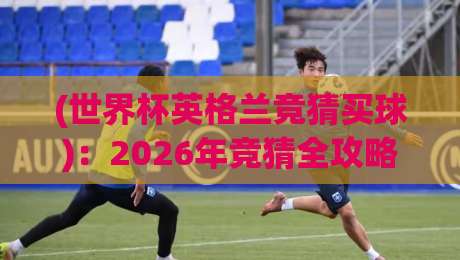 (世界杯英格兰竞猜买球):2026年竞猜全攻略与避坑指南 (世界杯英格兰竞猜买球):2026年竞猜全攻略与避坑指南