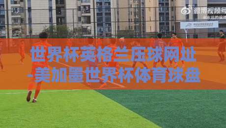 世界杯英格兰压球网址-美加墨世界杯体育球盘网：2026年球迷必看的押注指南