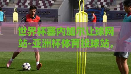 世界杯塞内加尔让球网站-亚洲杯体育投球站，【世界杯塞内加尔让球网站】2026年最新玩法与避坑指南