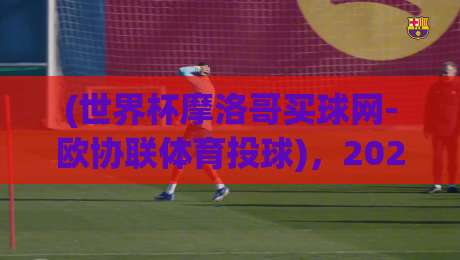 (世界杯摩洛哥买球网-欧协联体育投球),2026年球迷必看:从菜鸟到老司机的投球指南 (世界杯摩洛哥买球网-欧协联体育投球),2026年球迷必看:从菜鸟到老司机的投球指南