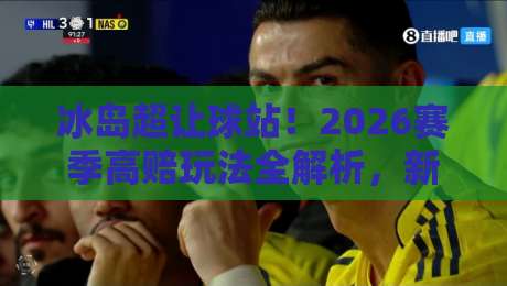 冰岛超让球站！2026赛季高赔玩法全解析，新手也能稳抓胜机