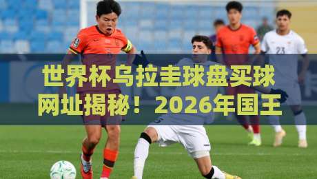 世界杯乌拉圭球盘买球网址揭秘！2026年国王杯投球网靠谱吗？