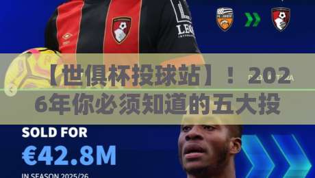 【世俱杯投球站】！2026年你必须知道的五大投注内幕与避坑指南