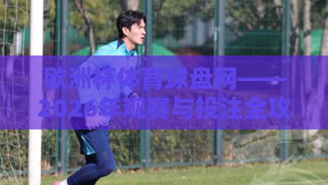 欧洲杯体育球盘网——2026年观赛与投注全攻略(欧洲杯体育球盘网) 欧洲杯体育球盘网——2026年观赛与投注全攻略(欧洲杯体育球盘网)