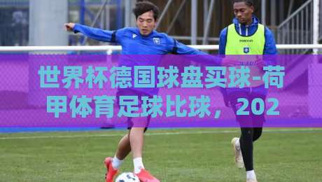 世界杯德国球盘买球-荷甲体育足球比球,2026年德国队盘口深度解析与投注策略 世界杯德国球盘买球-荷甲体育足球比球,2026年德国队盘口深度解析与投注策略
