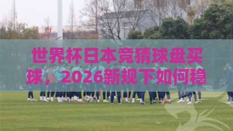 世界杯日本竞猜球盘买球，2026新规下如何稳中求胜？【世界杯日本竞猜球盘买球】