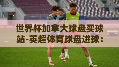 世界杯加拿大球盘买球站-英超体育球盘进球:2026年最新实战解析