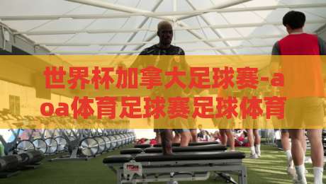 世界杯加拿大足球赛-aoa体育足球赛足球体育：2026年家门口的狂欢，你准备好了吗？