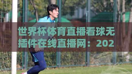 世界杯体育直播看球无插件在线直播网:2026年看世界杯,这些平台让你告别卡顿与广告 世界杯体育直播看球无插件在线直播网:2026年看世界杯,这些平台让你告别卡顿与广告