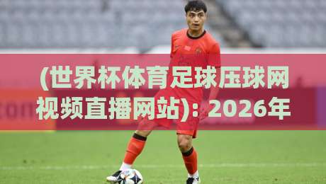 (世界杯体育足球压球网视频直播网站): 2026年观赛新选择，这些功能你必须知道