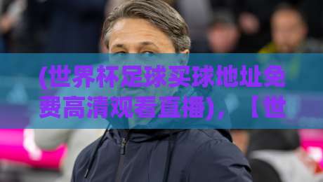 (世界杯足球买球地址免费高清观看直播)，【世界杯足球买球地址免费高清观看直播】2026年看球全攻略