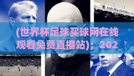 (世界杯足球买球网在线观看免费直播站)；2026年世界杯直播全攻略，高清不卡顿