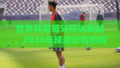 世界杯葡萄牙投球网站,2026年球迷必看的投注攻略与避坑指南 世界杯葡萄牙投球网站,2026年球迷必看的投注攻略与避坑指南